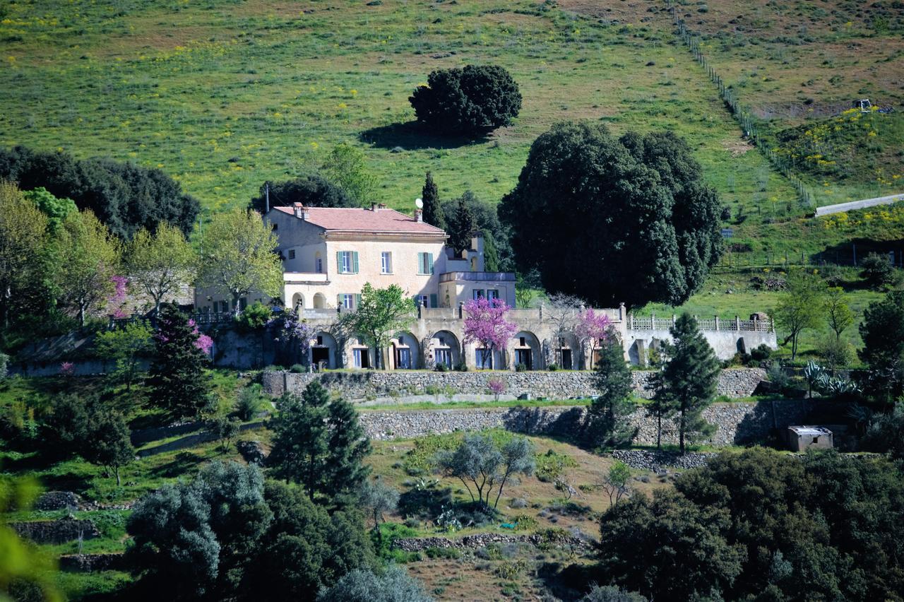 La Ventulella Bed & Breakfast Moltifao Exterior photo